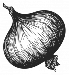 onion